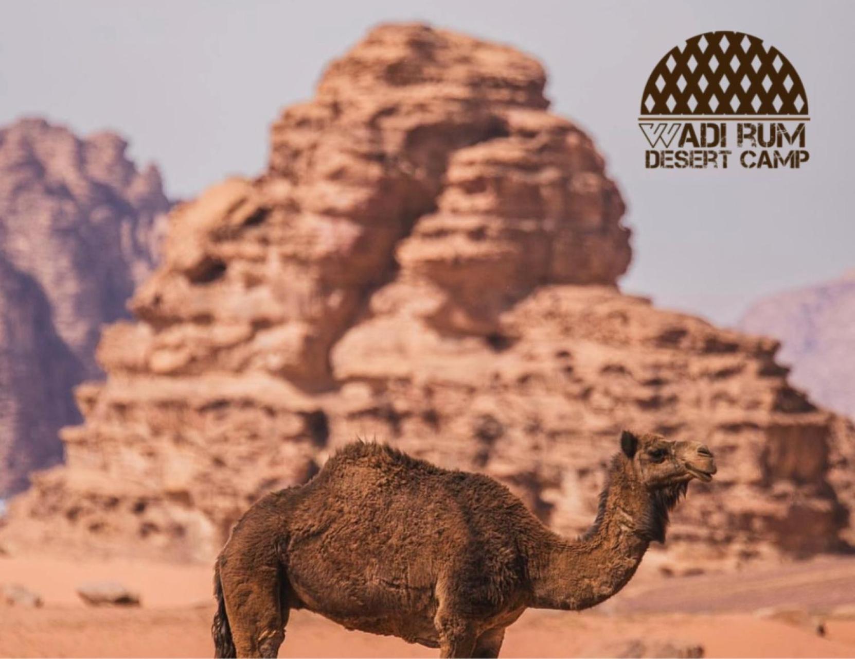 Rum Mere Luxury Camp Wadi Rum Exterior photo